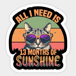 All I Need Is 13 Months of Sunshine Sticker